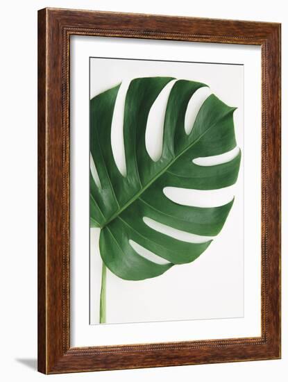 Monstera Solo-Irene Suchocki-Framed Giclee Print