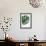 Monstera Solo-Irene Suchocki-Framed Giclee Print displayed on a wall