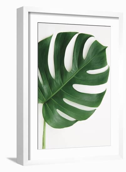 Monstera Solo-Irene Suchocki-Framed Giclee Print