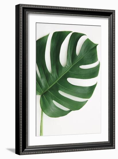 Monstera Solo-Irene Suchocki-Framed Giclee Print