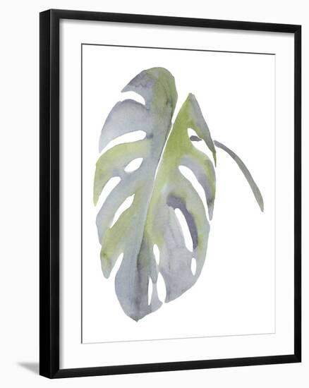 Monstera-Sandra Jacobs-Framed Giclee Print