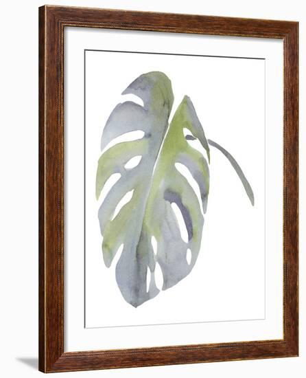 Monstera-Sandra Jacobs-Framed Giclee Print