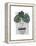 Monstera-Seventy Tree-Framed Premier Image Canvas