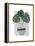 Monstera-Seventy Tree-Framed Premier Image Canvas