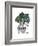 Monstera-Seventy Tree-Framed Giclee Print