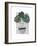 Monstera-Seventy Tree-Framed Giclee Print