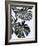 Monstrea-PhotoINC Studio-Framed Art Print