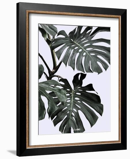 Monstrea-PhotoINC Studio-Framed Art Print