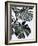 Monstrea-PhotoINC Studio-Framed Art Print