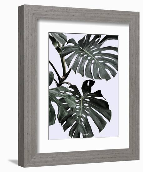 Monstrea-PhotoINC Studio-Framed Premium Giclee Print