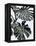 Monstrea-PhotoINC Studio-Framed Stretched Canvas