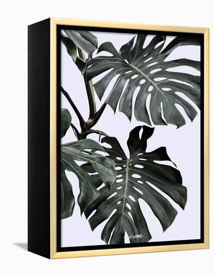 Monstrea-PhotoINC Studio-Framed Stretched Canvas