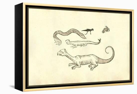 Monstrorum Historia-Ulisse Aldrovandi-Framed Stretched Canvas