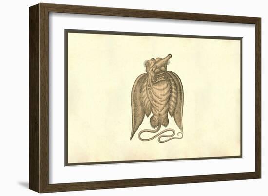 Monstrosi Piscis Volantis-Ulisse Aldrovandi-Framed Art Print