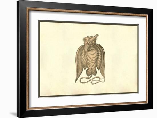 Monstrosi Piscis Volantis-Ulisse Aldrovandi-Framed Art Print