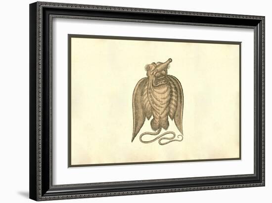 Monstrosi Piscis Volantis-Ulisse Aldrovandi-Framed Art Print