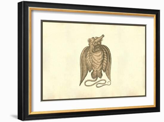 Monstrosi Piscis Volantis-Ulisse Aldrovandi-Framed Art Print