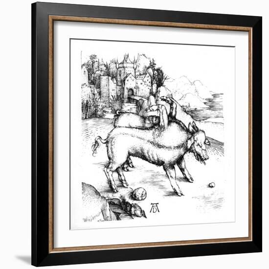 Monstrous Pig-Albrecht Dürer-Framed Giclee Print