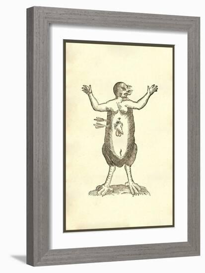 Monstrum Hermaphroditicum Pedibus Aquilinis-Ulisse Aldrovandi-Framed Art Print