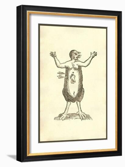 Monstrum Hermaphroditicum Pedibus Aquilinis-Ulisse Aldrovandi-Framed Art Print