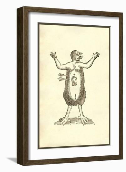Monstrum Hermaphroditicum Pedibus Aquilinis-Ulisse Aldrovandi-Framed Premium Giclee Print