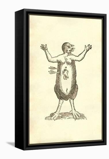 Monstrum Hermaphroditicum Pedibus Aquilinis-Ulisse Aldrovandi-Framed Stretched Canvas