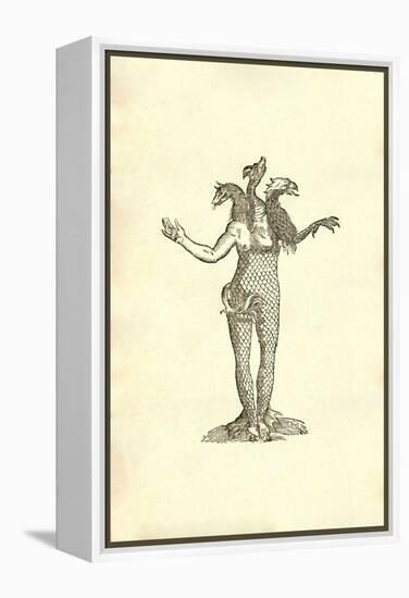 Monstrum Triceps Capite Vulpis Draconis & Aquilae-Ulisse Aldrovandi-Framed Stretched Canvas