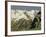 Mont Blanc Mountains, 1897-Isaak Ilyich Levitan-Framed Giclee Print