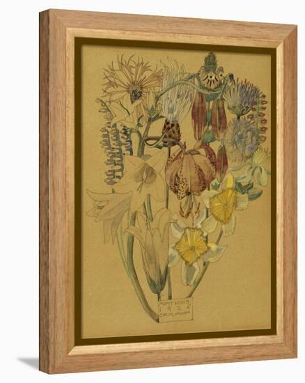 Mont Louis - Flower Study, 1925-Charles Rennie Mackintosh-Framed Premier Image Canvas