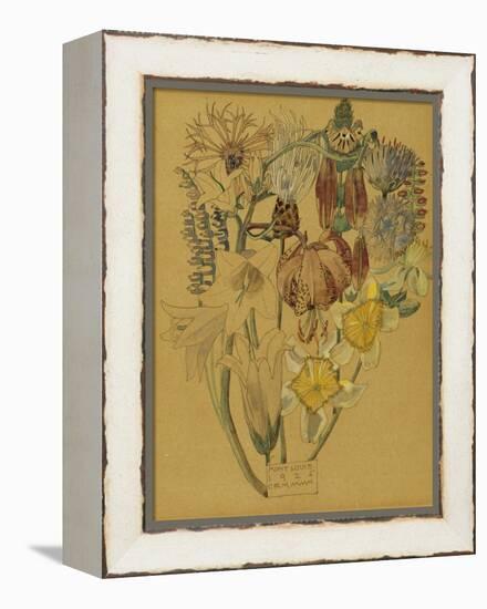 Mont Louis - Flower Study, 1925-Charles Rennie Mackintosh-Framed Premier Image Canvas