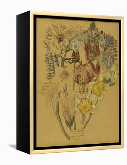Mont Louis - Flower Study, 1925-Charles Rennie Mackintosh-Framed Premier Image Canvas