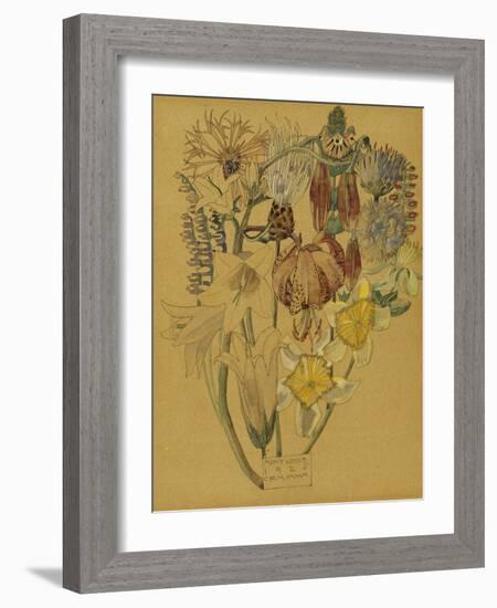 Mont Louis - Flower Study, 1925-Charles Rennie Mackintosh-Framed Giclee Print