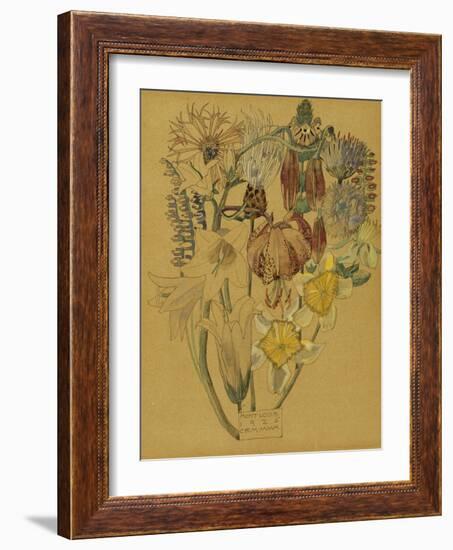 Mont Louis - Flower Study, 1925-Charles Rennie Mackintosh-Framed Giclee Print