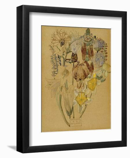 Mont Louis, Flower Study, 1925-Charles Rennie Mackintosh-Framed Giclee Print