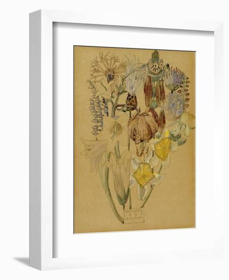 Mont Louis, Flower Study, 1925-Charles Rennie Mackintosh-Framed Giclee Print