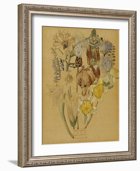 Mont Louis, Flower Study, 1925-Charles Rennie Mackintosh-Framed Giclee Print