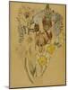 Mont Louis, Flower Study, 1925-Charles Rennie Mackintosh-Mounted Giclee Print