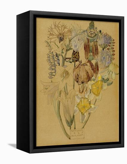 Mont Louis, Flower Study, 1925-Charles Rennie Mackintosh-Framed Premier Image Canvas