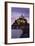 Mont Saint Michel at Sunset-Markus Lange-Framed Photographic Print