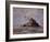 Mont Saint-Michel, North-East Side, 1881-Emmanuel Lansyer-Framed Giclee Print