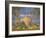 Mont Saint Michel, Unesco World Heritage Site, Manche, Normandy, France-Bruno Morandi-Framed Photographic Print