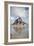 Mont Saint-Michel-null-Framed Giclee Print