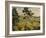 Mont Sainte-Victoire-Paul Cézanne-Framed Giclee Print