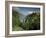 Mont Saxonnex, Near Bonneville, Haute Savoie, Rhone Alpes, France-Michael Busselle-Framed Photographic Print