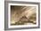 Mont St Michel, Mont St Michel, France ‘07-Monte Nagler-Framed Photographic Print