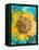 Montage of a Sunflower, Composing-Alaya Gadeh-Framed Premier Image Canvas