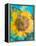 Montage of a Sunflower, Composing-Alaya Gadeh-Framed Premier Image Canvas