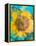 Montage of a Sunflower, Composing-Alaya Gadeh-Framed Premier Image Canvas