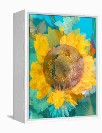 Montage of a Sunflower, Composing-Alaya Gadeh-Framed Premier Image Canvas