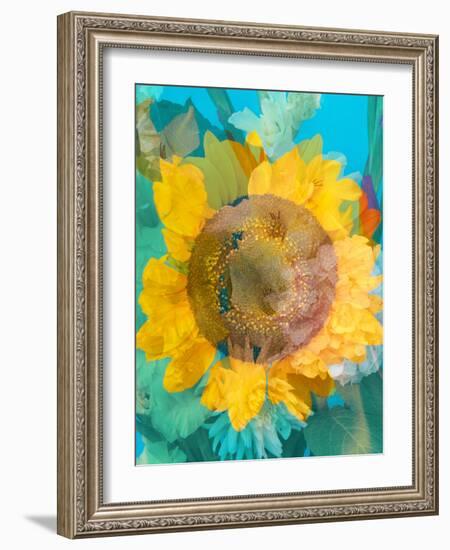 Montage of a Sunflower, Composing-Alaya Gadeh-Framed Photographic Print